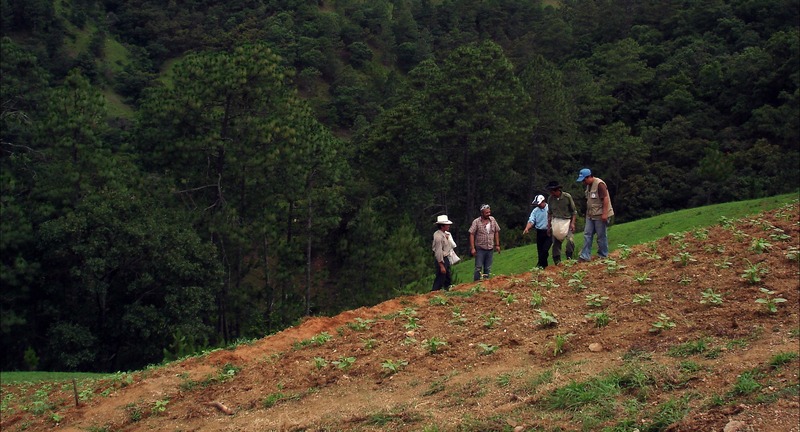 US contributes $ 20 m to catalyze efficient use of fertilizers in Sub-Saharan Africa