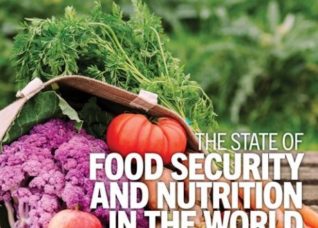 Report: Governments’ support for food, agriculture accounts for $630 bn per year globally