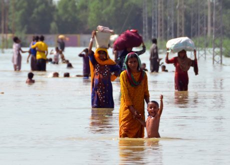 WHO allocates $ 10 m to address health problems in Pakistan