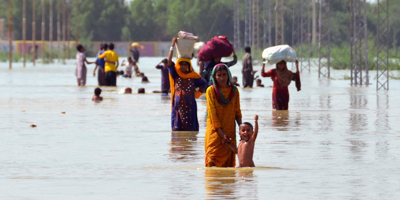 WHO allocates $ 10 m to address health problems in Pakistan