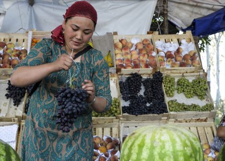 FAO launches global initiative for promoting green agriculture in Europe, Central Asia
