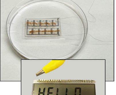 UMass Amherst researchers develop biofilm turning energy in evaporation into electricity