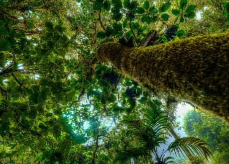 Costa Rica on track to unlock $60 m to cut 12 m tons of CO2 emissions by 2025