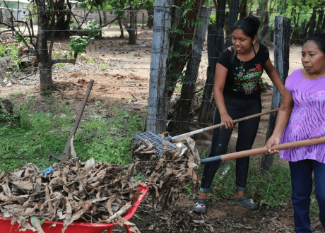 Experts urge repurposing $500 bn annually for regenerative agriculture