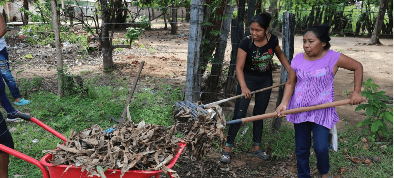 Experts urge repurposing $500 bn annually for regenerative agriculture