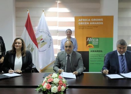 Egypt launches climate action award for greener future in Africa