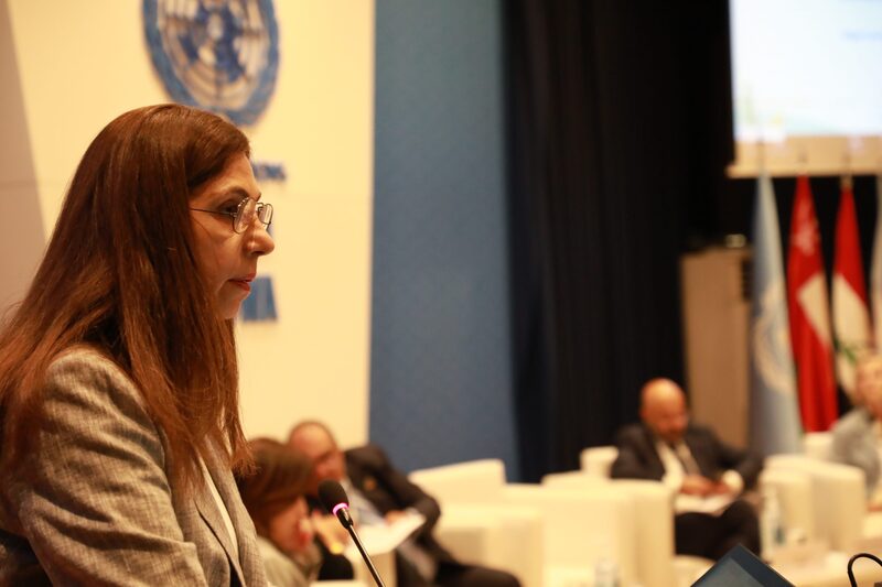 ESCWA official: Arab States received about $34 bn in climate finance over past decade