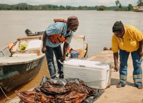 Gabon becomes environment protecting champion in recent years