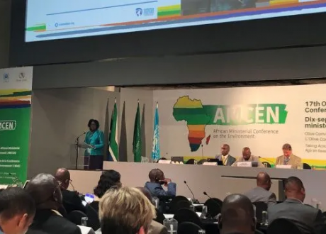 African ministers urge developed states to set ambitious goal for 2025 during COP27