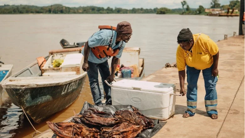 Gabon becomes environment protecting champion in recent years