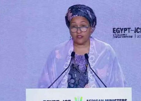 UN official:Egypt adopted important initiatives for green transition, investments