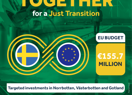 EU to extend €155.7 m in grants to Sweden to achieve zero carbon