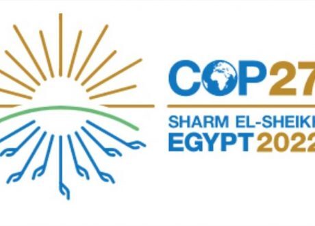 WHO: COP27 offers great opportunity for building resilient health systems, protecting public health