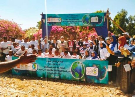 Planting 100 trees in Luxor in dedication of COP27 participating countries