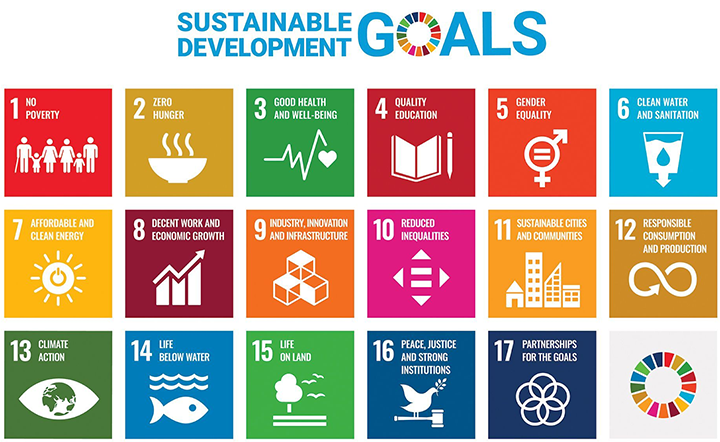 2022 SDR: 10 countries making most progress on SDGs