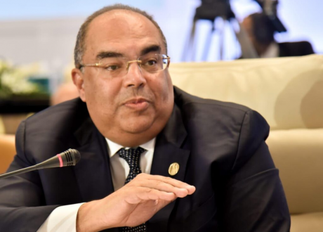 Mohieldin: Achieving net zero target not impossible