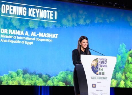 «المشاط»: الحكومات بمفردها لن تتمكن من تنفيذ التعهدات المناخية