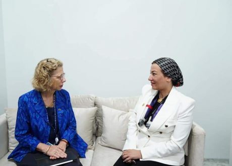 «البيئة» تناقش مع «UNEP» ملف التنوع البيولوجي والحد من استخدام الأكياس البلاستيكية