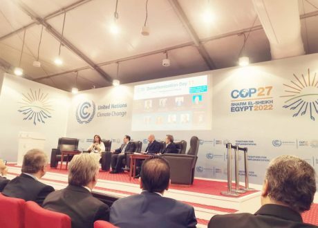 Abou-Zeid: Africa bears $ 50-80 bn annually over climate change