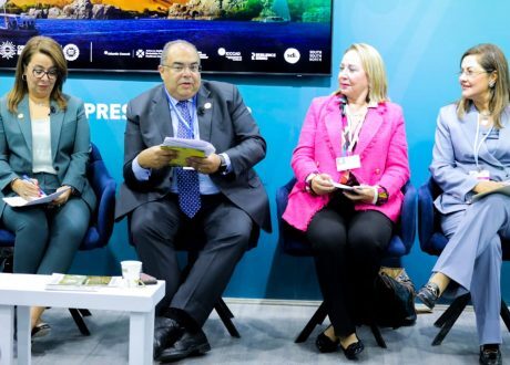 Mohieldin: Art, media among three key elements for addressing climate change