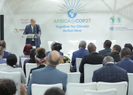 Mohieldin urges investing in saving oceans
