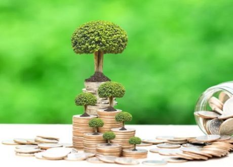 تفاصيل توسعات الدولة المصرية في تنفيذ المشروعات الخضراء لتحقيق تنمية اقتصادية مستدامة