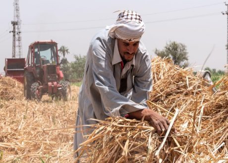 UNIDO official: Circular bio-based economy vital for climate change targets