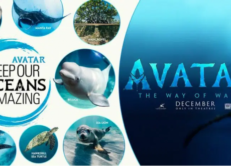 Disney, Avatal launch global campaign for protecting oceans, marine life