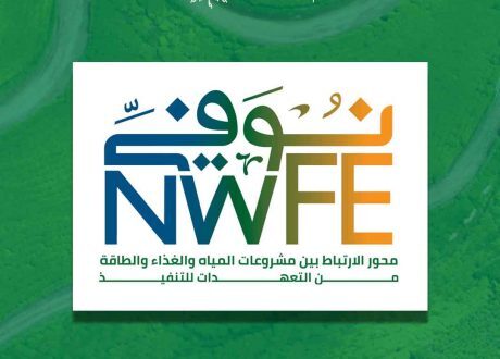 Egypt team up with int’l financial institutions, development partners for NWFE