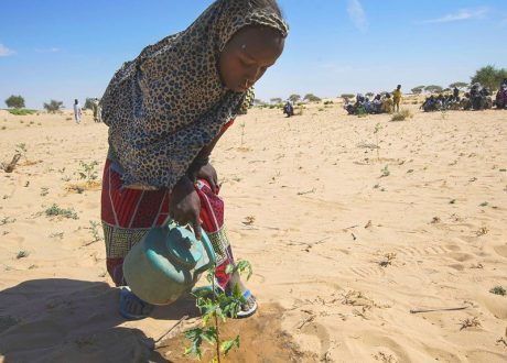 WMO: 5 bn people expected to face inadequate access to water by 2050