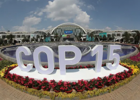 COP15 aims to come up with historic deal on global actions on biodiversity