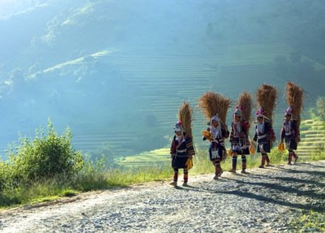 Int’l Mountain Day highlights women role in environment protection