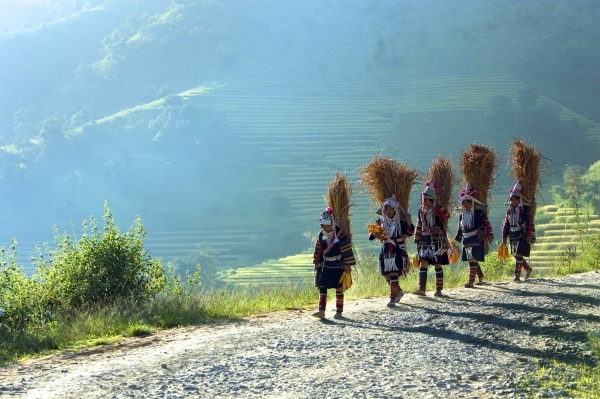 Int’l Mountain Day highlights women role in environment protection