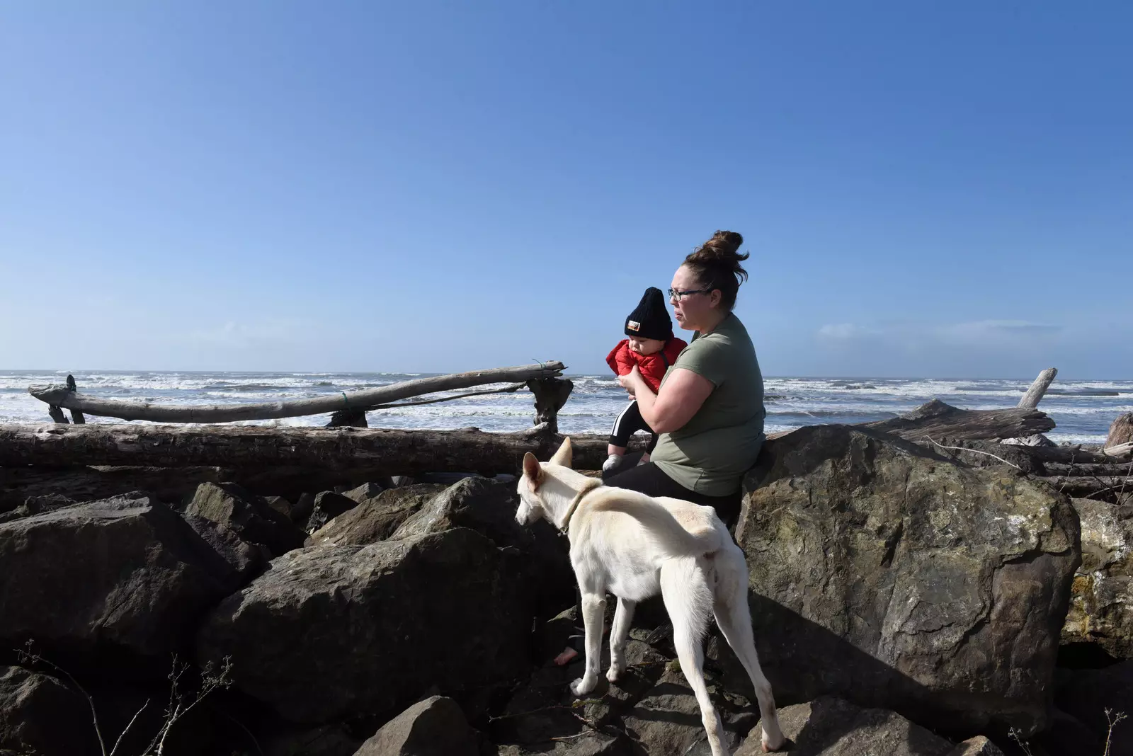 Millions of dollars being spent to relocate people worldwide as sea level rises