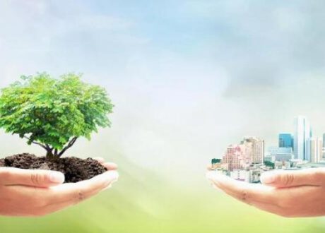 Egypt among top 8 African countries on 2022 SDGs Index – IDSC