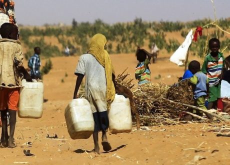 Survey: Over one third of Africans see climate change as major challenge