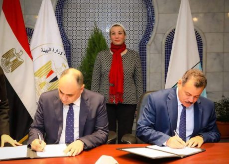 تعاون بين جامعة الوادي الجديد و«شئون البيئة» لتنفيذ مشروعات الطاقة المتجددة