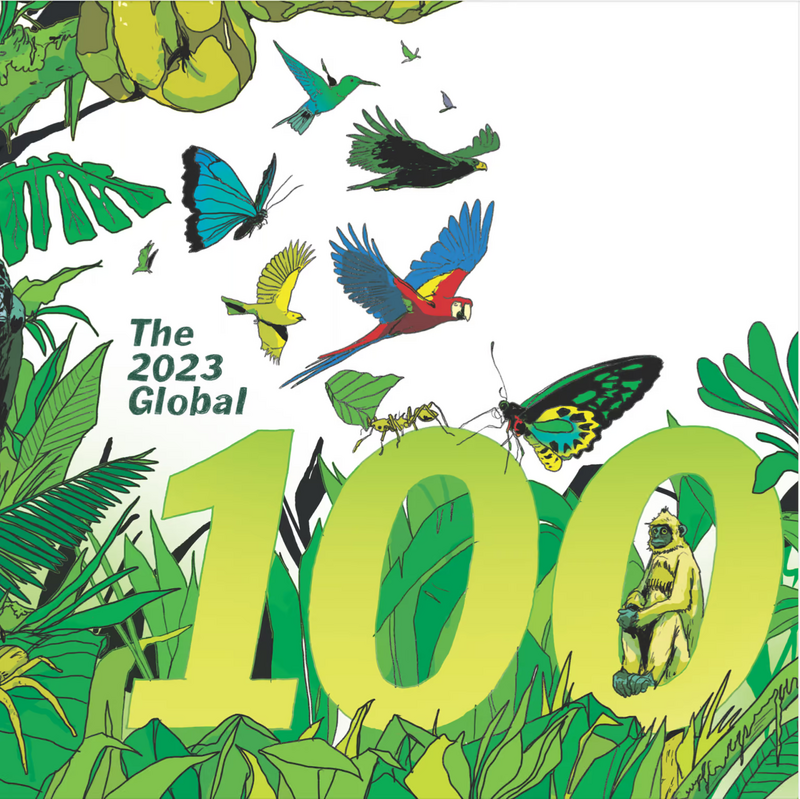 Investec sole African company on list of  2023 Global 100 ranking of most sustainable firms