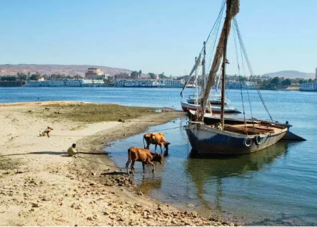 EIB survey: 54% of Egyptians believe people taking action to adapt to climate change