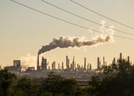 UNEP official urges enforcing regulations on companies to ensure curbing emissions 