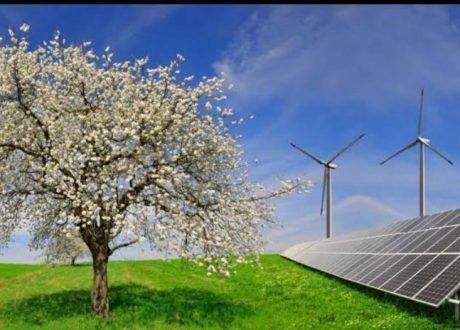 هيئة الطاقة المتجددة تصدر حصاد الطاقة لعام 2022