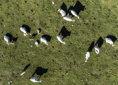 FAO first SOC study highlights needed actions to increase soil’s capability to store excess carbon