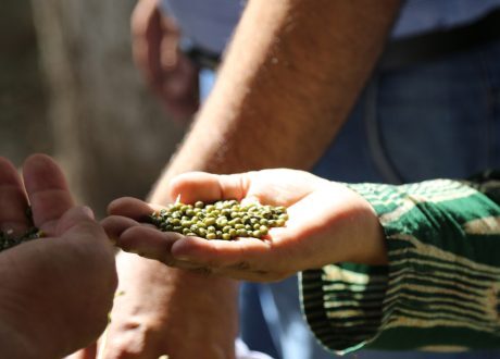 USAID extends extra $ 10 m to help Tajikistan face rising food insecurity