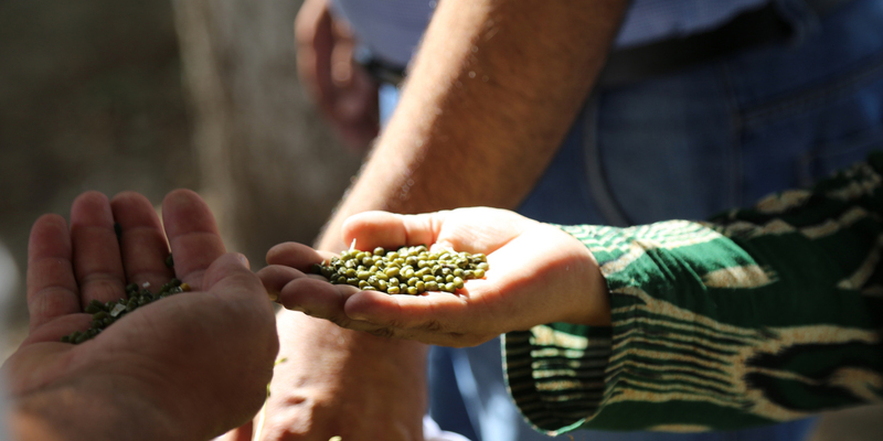 USAID extends extra $ 10 m to help Tajikistan face rising food insecurity