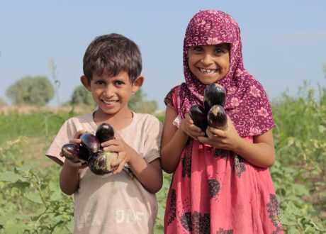 Yemen, S.Sudan among 15 countries receiving new agricultural grants at $220 m