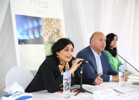 «مزارع دينا»: 25% توفيرًا في احتياجات المرزعة باستخدام الطاقة النظيفة