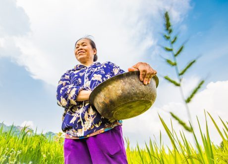 Belgium extends € 3 m grant to help UNEP address climate crisis