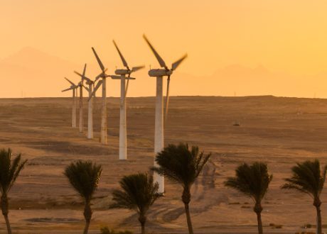 EBRD, GCF extend $ 100 m to Egypt’s largest wind farm in Africa