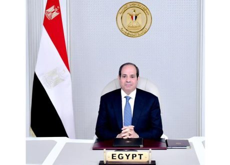  Sisi: Success in confronting climate change depends on appropriate financing