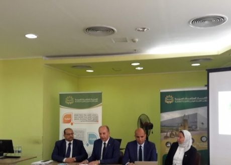 FEI’s CSR initiative to bolster Egypt Vision 2030 to achieve SDGs